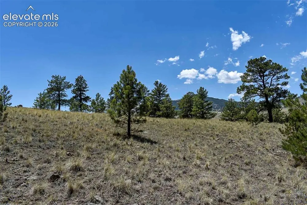 4278 County Road 71 Guffey, CO 80820