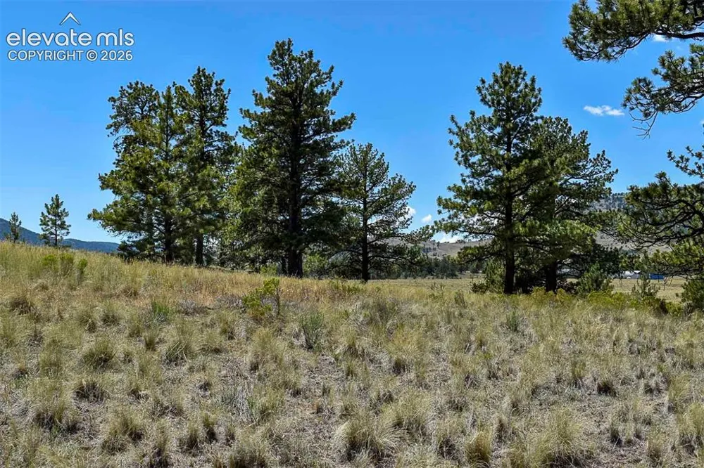 4278 County Road 71 Guffey, CO 80820
