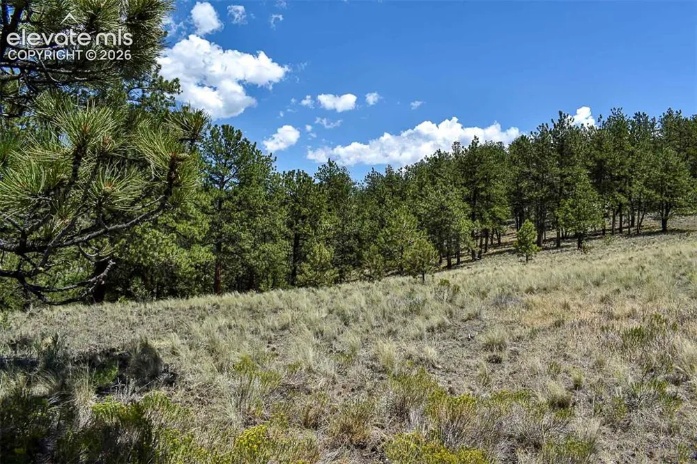 4278 County Road 71 Guffey, CO 80820