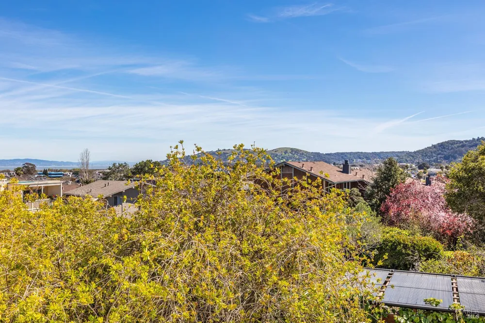 161 Lower Via Casitas Greenbrae, CA 94904