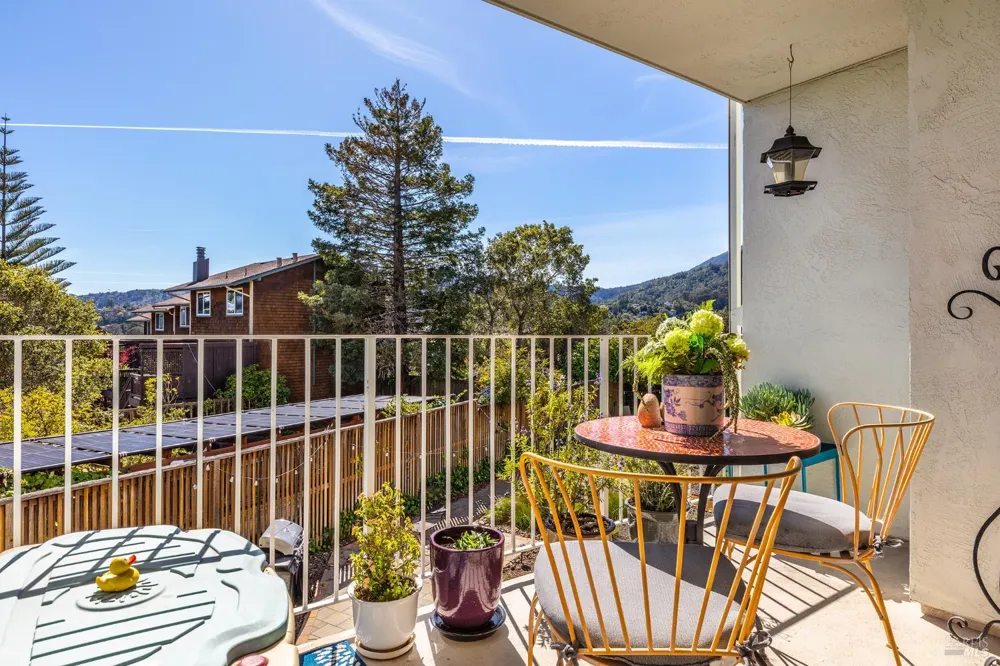 161 Lower Via Casitas Greenbrae, CA 94904
