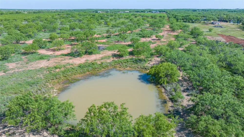 Cr 250 Clyde, TX 79510