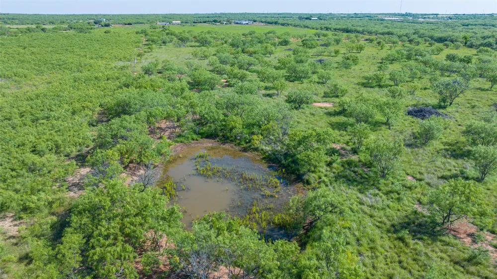Cr 250 Clyde, TX 79510