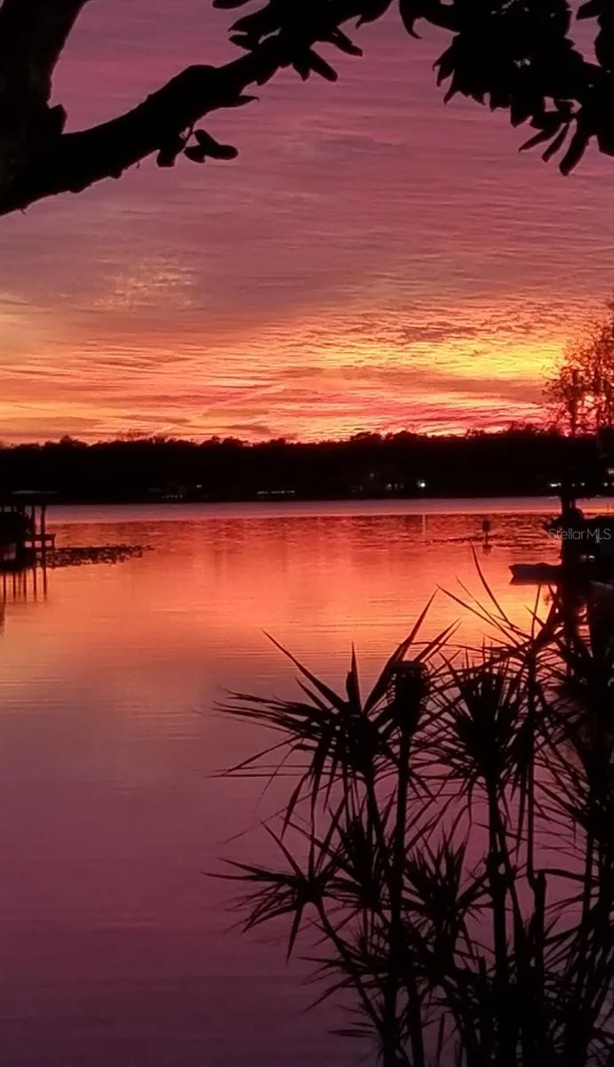 236 S SHADOWBAY BOULEVARD Longwood, FL 32779