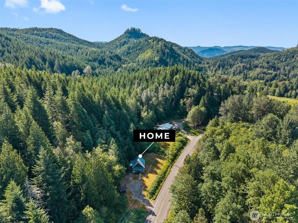 995 Davis Lake Road Morton, WA 98356