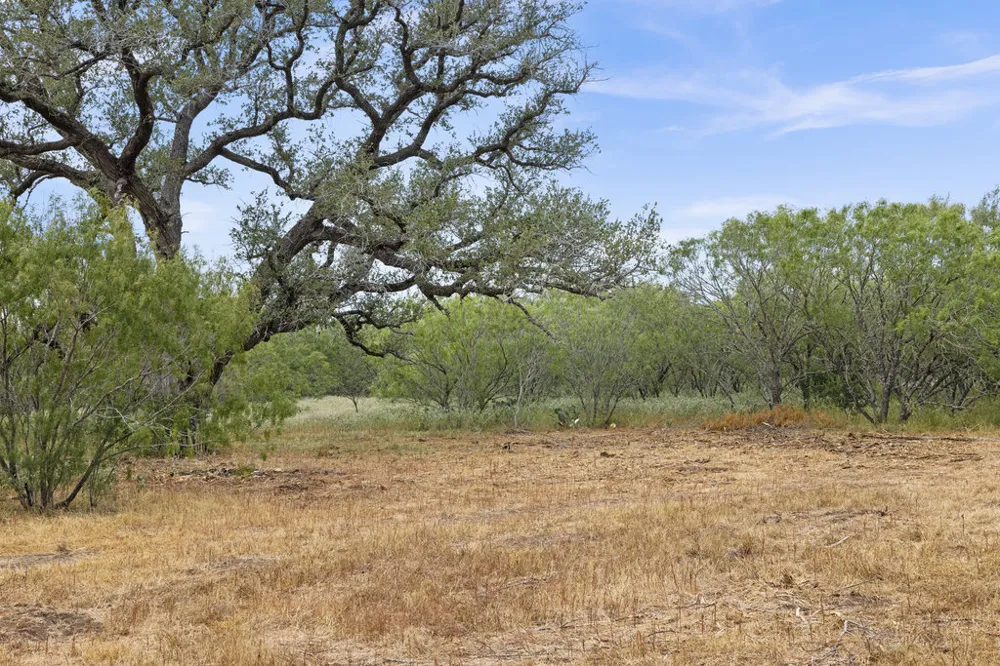CR 171 Nixon, TX 78140