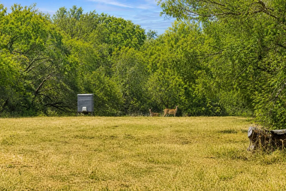 CR 171 Nixon, TX 78140