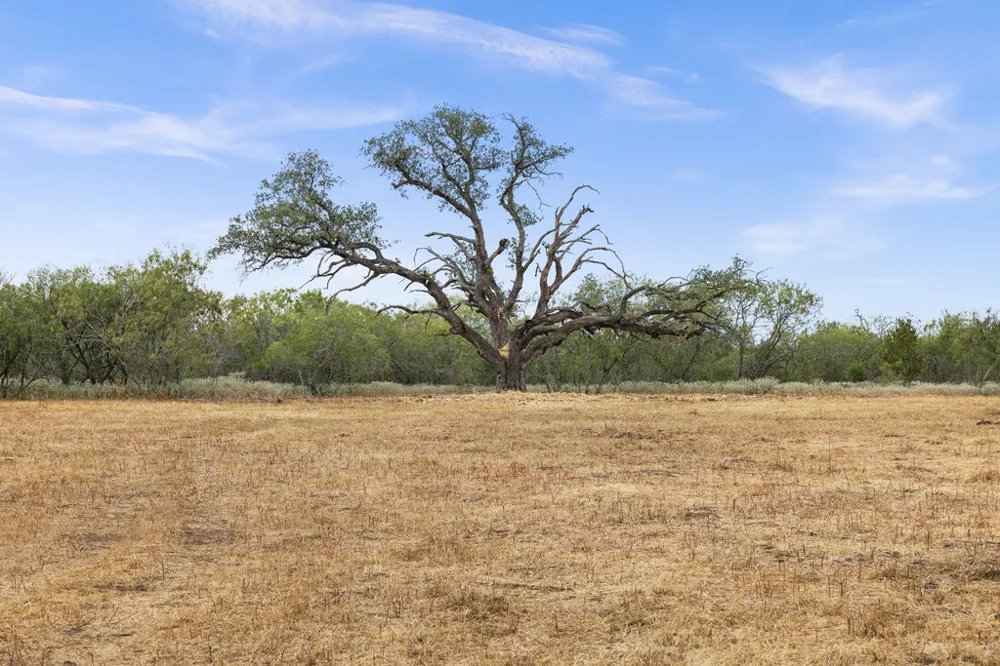 CR 171 Nixon, TX 78140