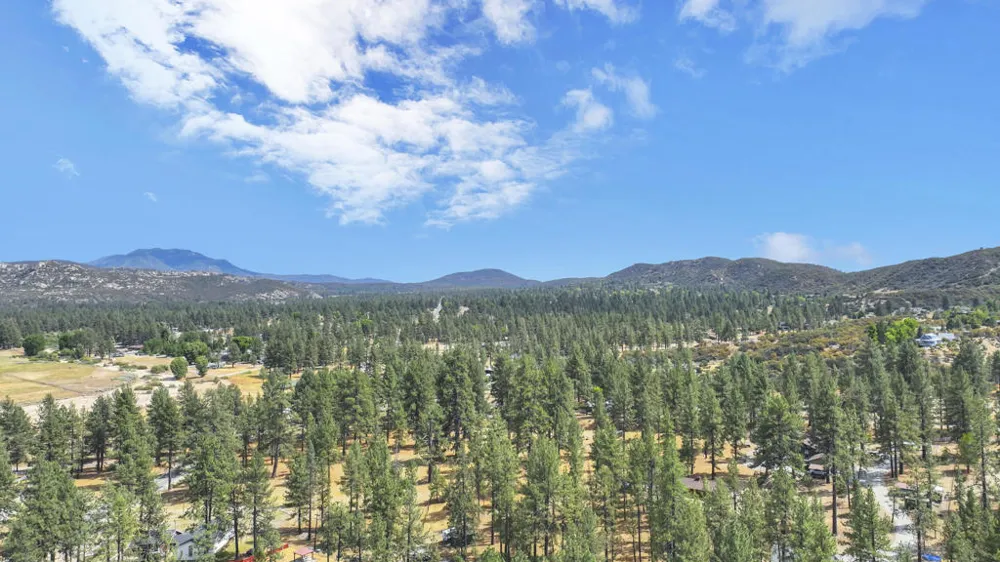 59359 Donna Mae Place Mountain Center, CA 92561