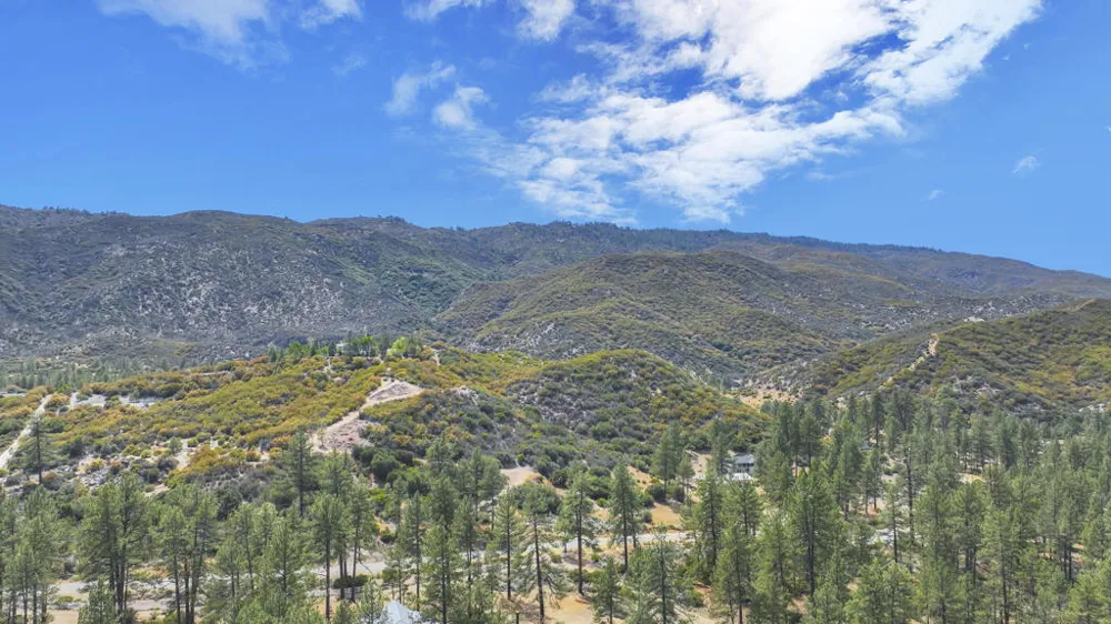 59359 Donna Mae Place Mountain Center, CA 92561