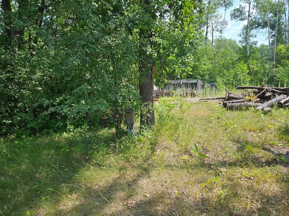 11752 220th Street SE Red Lake Falls, MN 56750