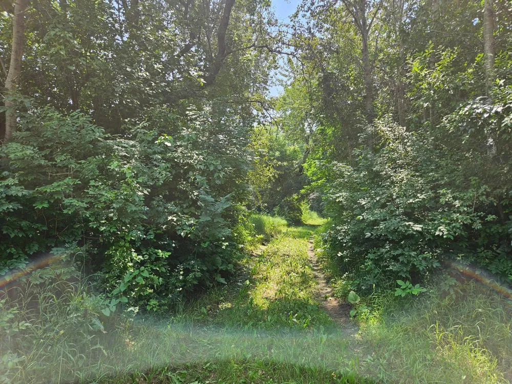 11752 220th Street SE Red Lake Falls, MN 56750