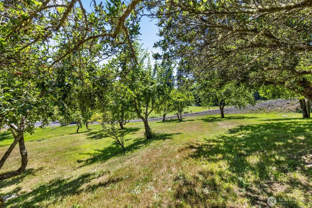1520 West Valley Chimacum, WA 98325