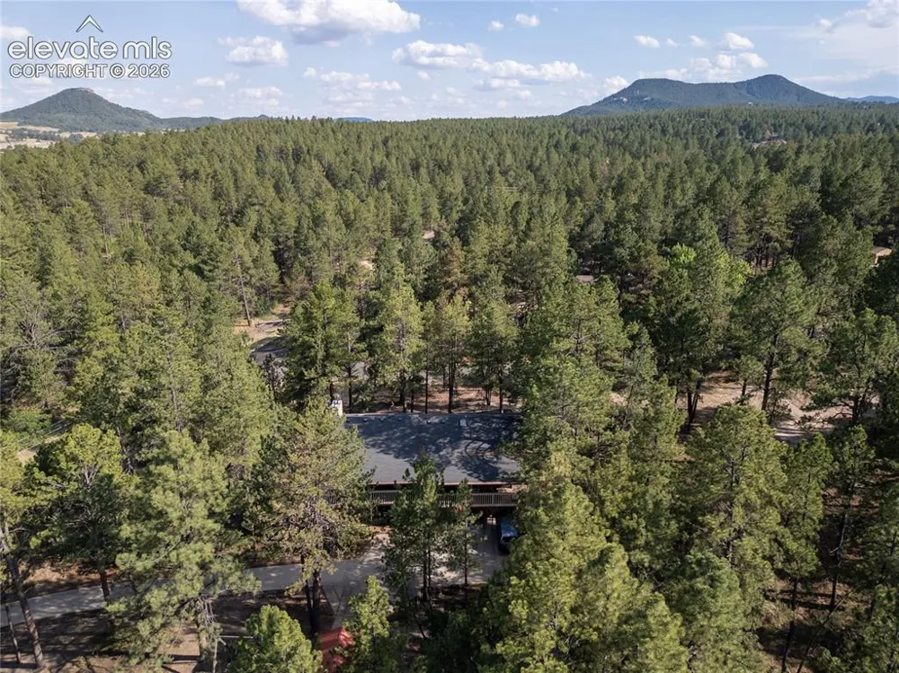 545 Tenderfoot Drive Larkspur, CO 80118