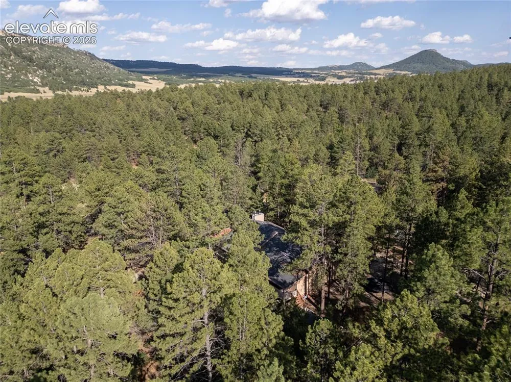 545 Tenderfoot Drive Larkspur, CO 80118