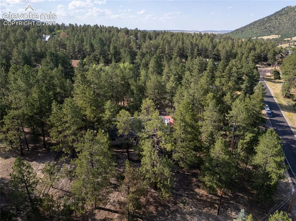 545 Tenderfoot Drive Larkspur, CO 80118