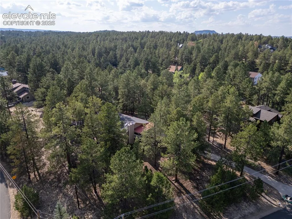 545 Tenderfoot Drive Larkspur, CO 80118