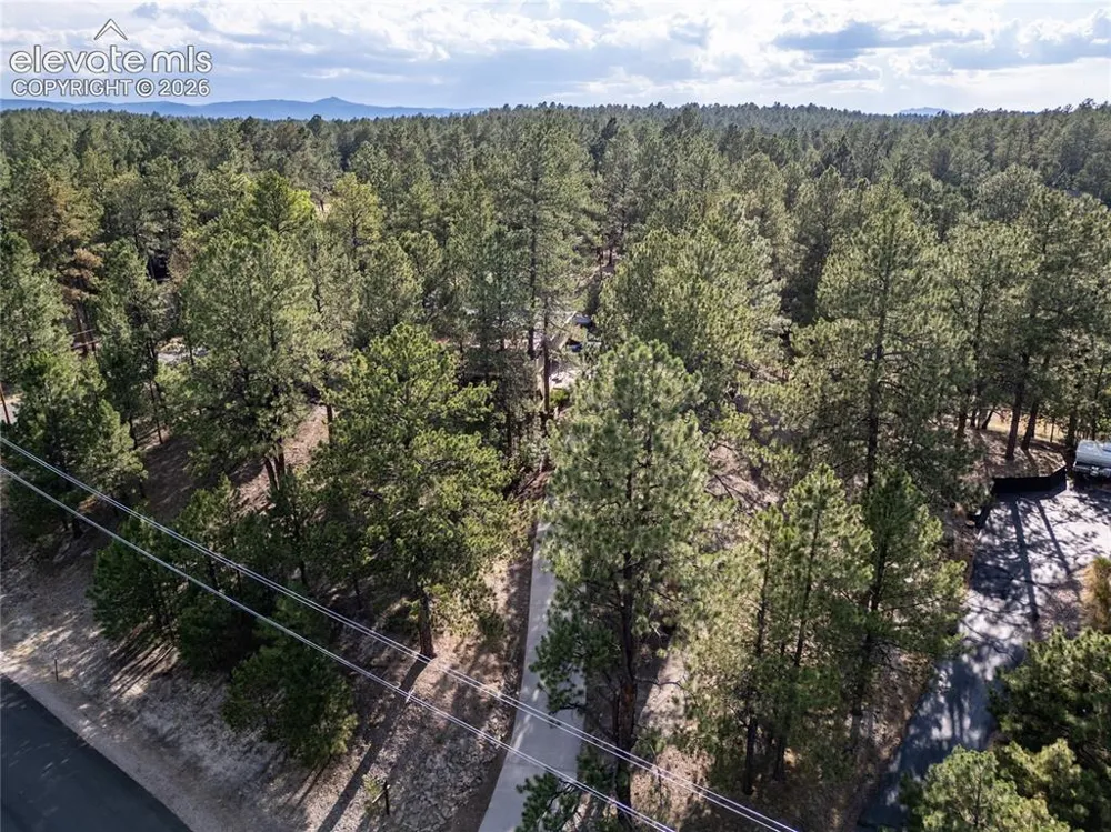545 Tenderfoot Drive Larkspur, CO 80118