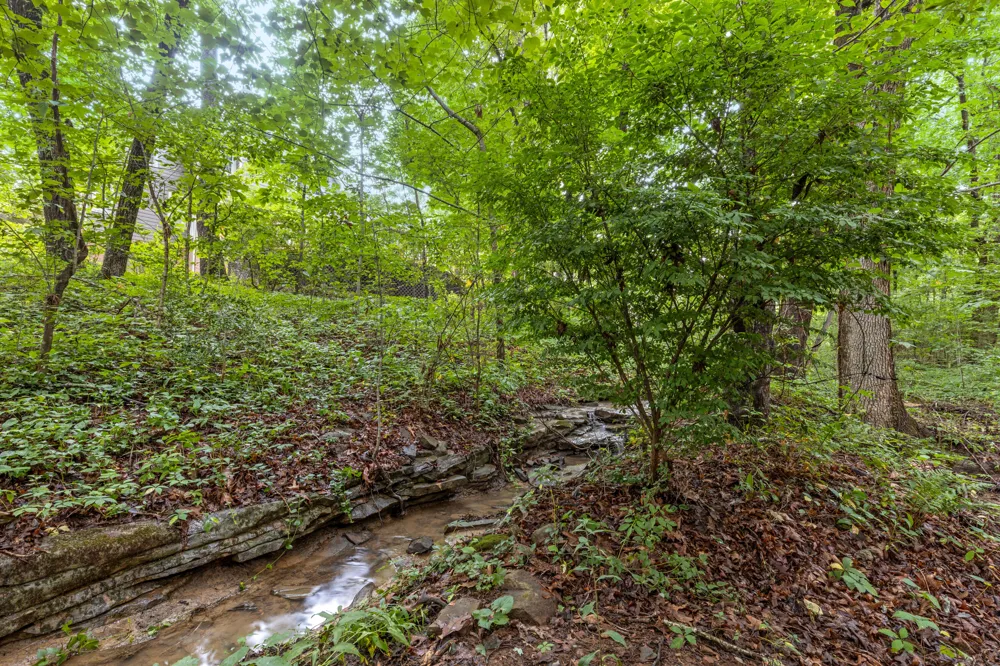 2917 Blue Teal Lane Signal Mountain, TN 37377