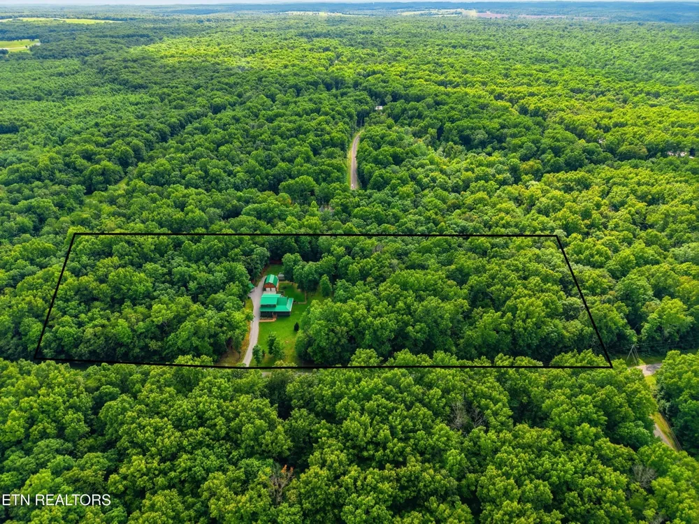 246 Cross Drive Monterey, TN 38574