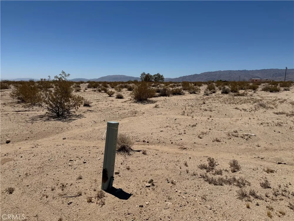 Cielito 29 Palms, CA 92277