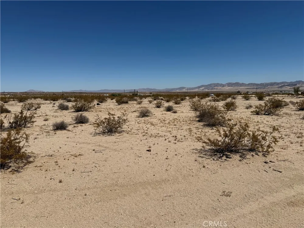 Cielito 29 Palms, CA 92277