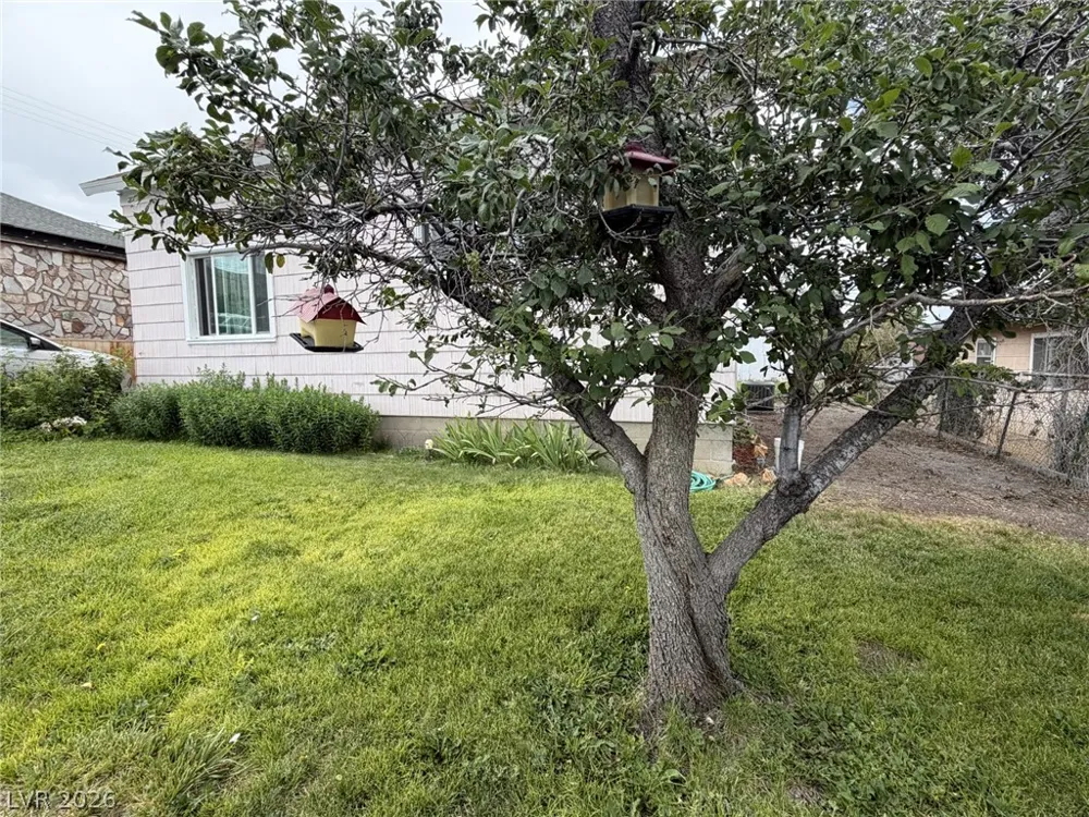 29 Avenue D McGill, NV 89318