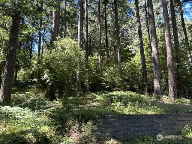 0 Captain Leison Lane Lopez Island, WA 98261