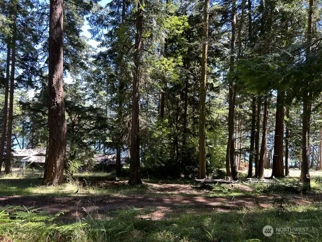 0 Captain Leison Lane Lopez Island, WA 98261