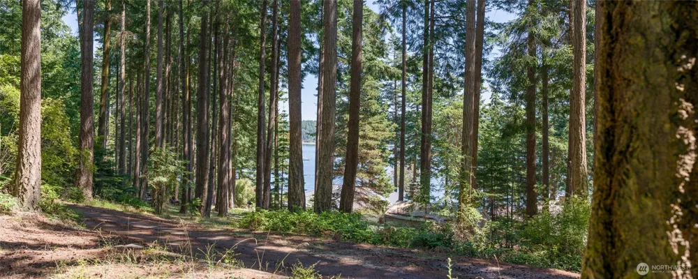 0 Captain Leison Lane Lopez Island, WA 98261