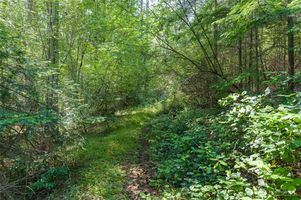 0 Captain Leison Lane Lopez Island, WA 98261