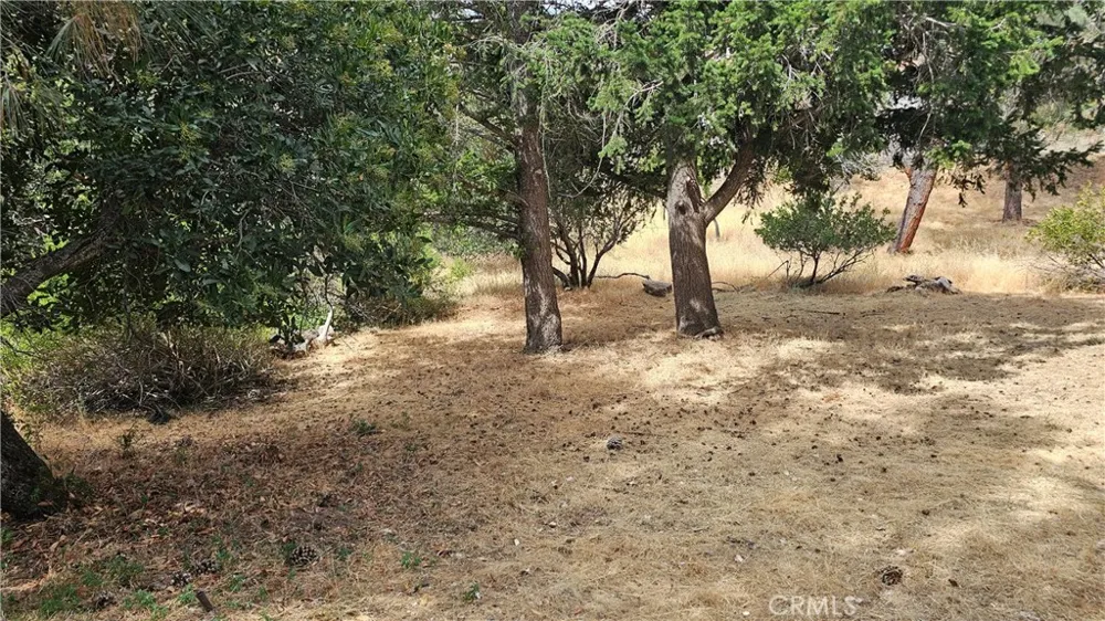 11103 Wheeler Drive Kelseyville, CA 95451