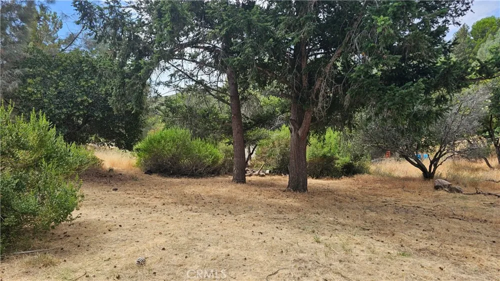 11103 Wheeler Drive Kelseyville, CA 95451