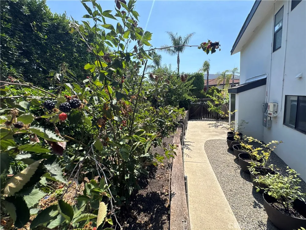 1931 Warmlands Avenue Vista, CA 92084
