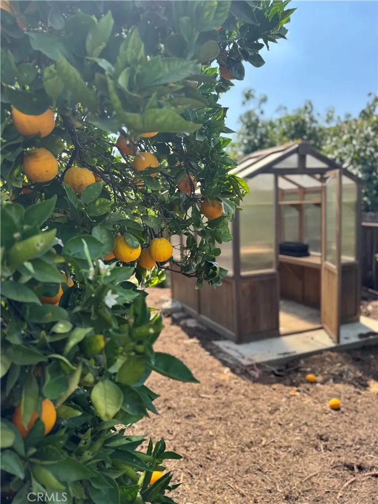 1931 Warmlands Avenue Vista, CA 92084