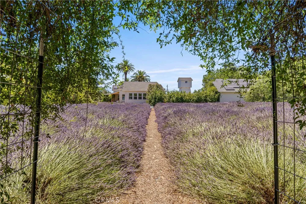 4550 Soda Bay Kelseyville, CA 95451