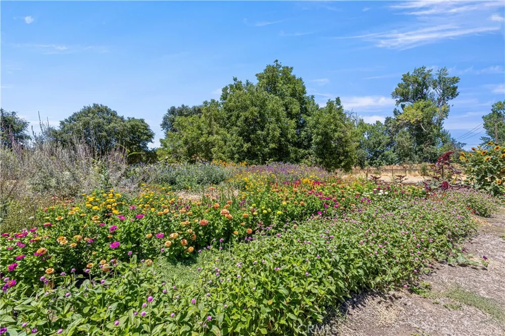 4550 Soda Bay Kelseyville, CA 95451