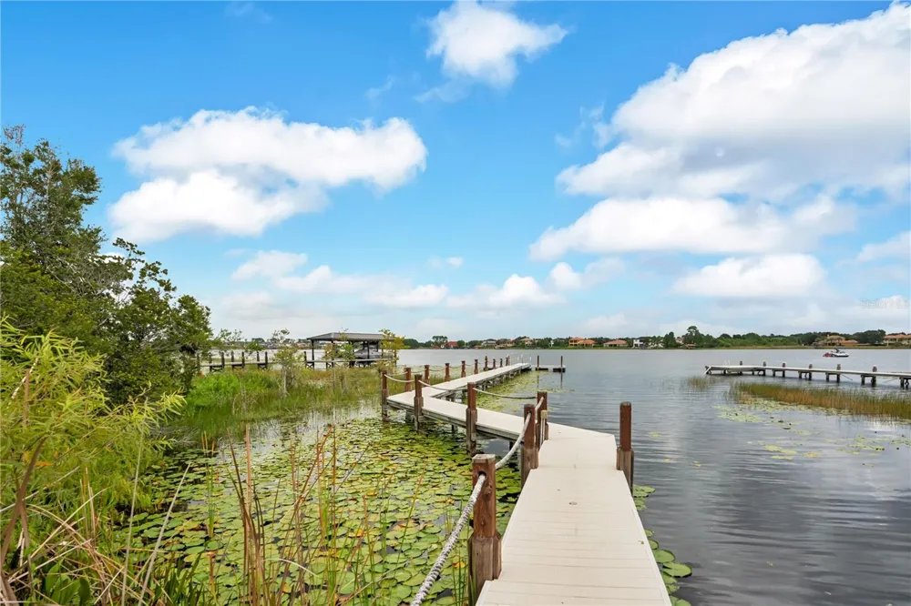 8344 BOWDEN WAY Windermere, FL 34786