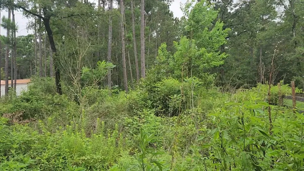 11 Scarlet Oak Drive Plantersville, TX 77363