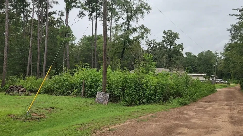 11 Scarlet Oak Drive Plantersville, TX 77363