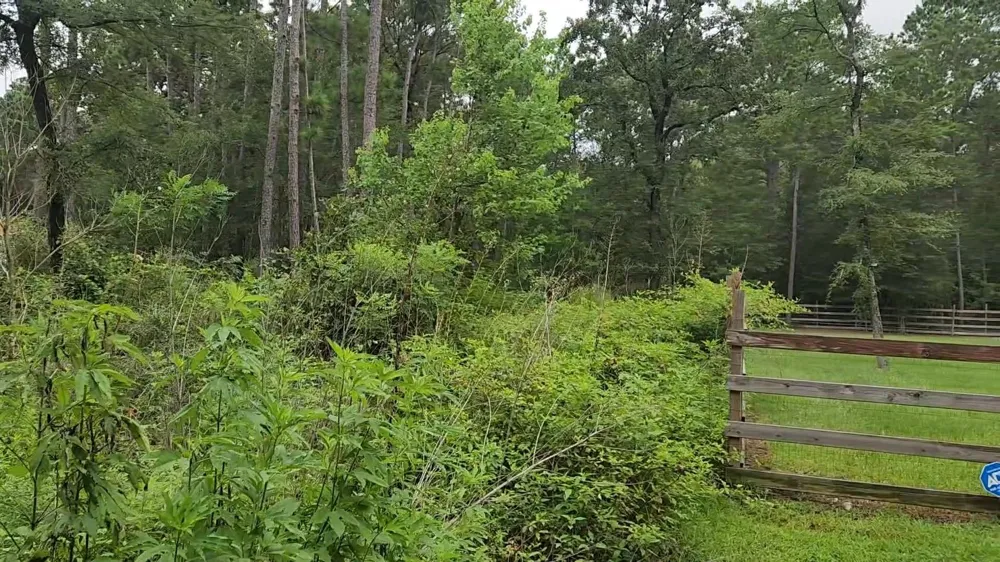 11 Scarlet Oak Drive Plantersville, TX 77363