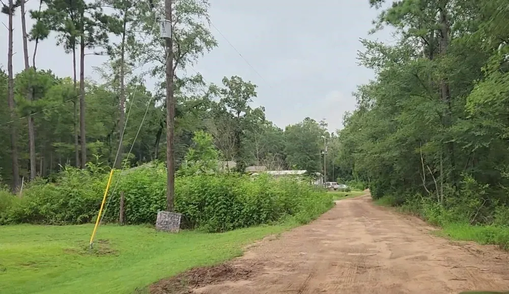 11 Scarlet Oak Drive Plantersville, TX 77363