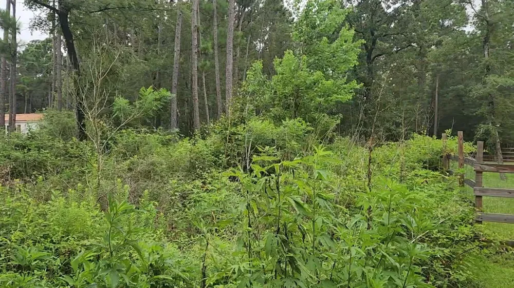 11 Scarlet Oak Drive Plantersville, TX 77363