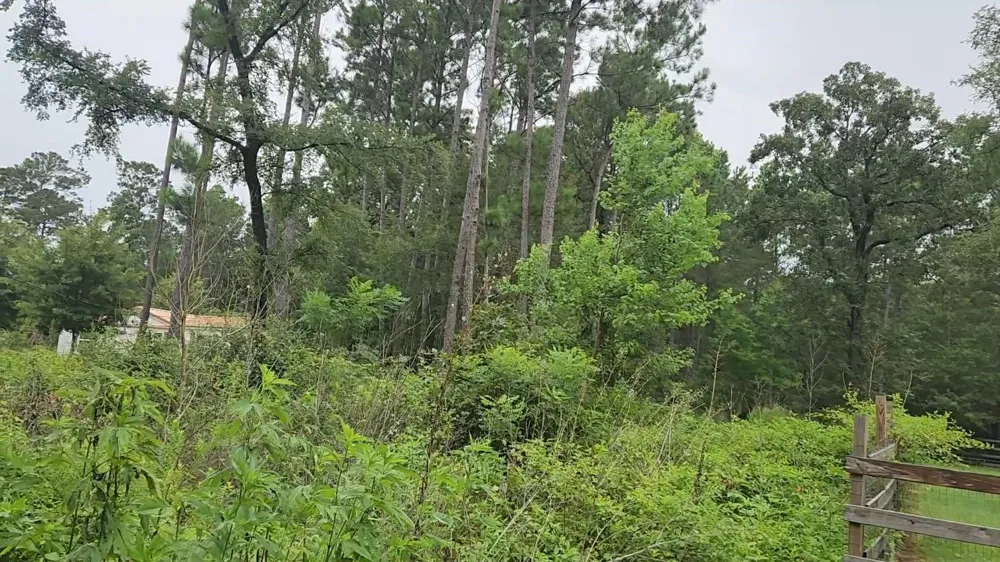 11 Scarlet Oak Drive Plantersville, TX 77363