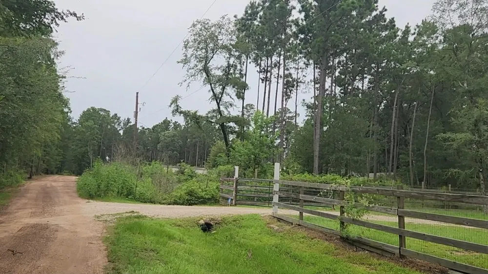 11 Scarlet Oak Drive Plantersville, TX 77363