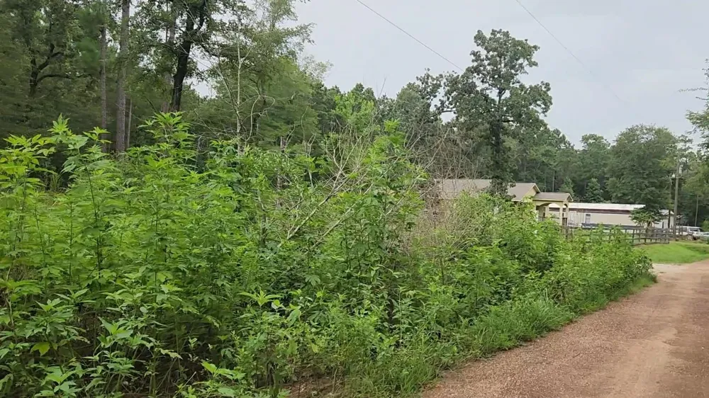 11 Scarlet Oak Drive Plantersville, TX 77363