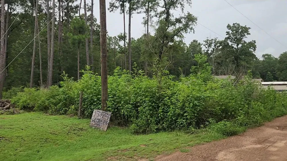 11 Scarlet Oak Drive Plantersville, TX 77363