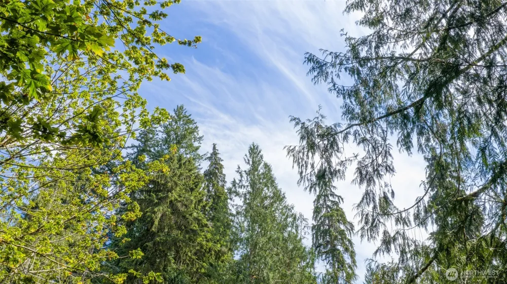 0 Robinson Road Lilliwaup, WA 98555