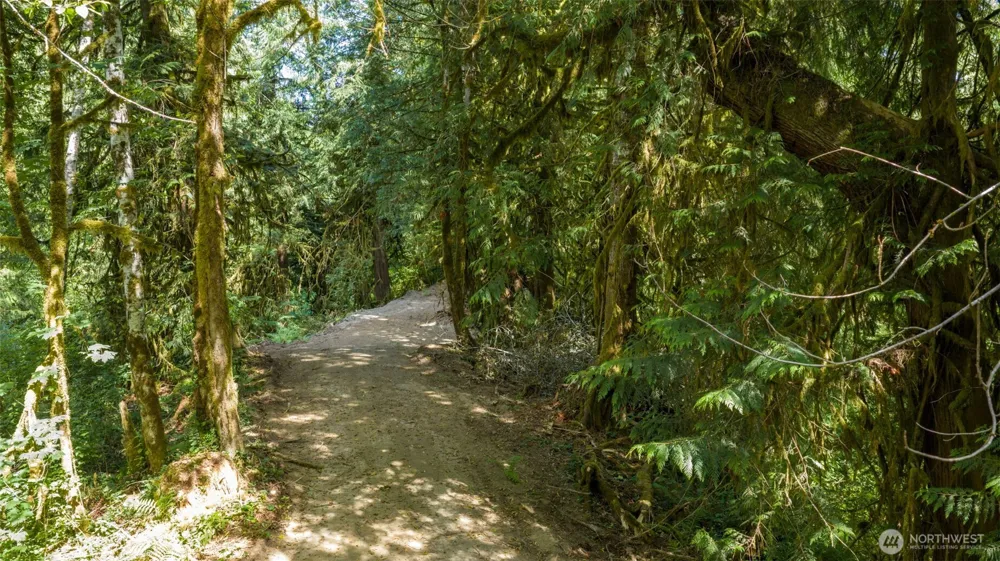 0 Robinson Road Lilliwaup, WA 98555