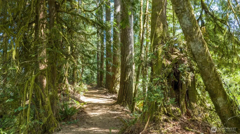 0 Robinson Road Lilliwaup, WA 98555